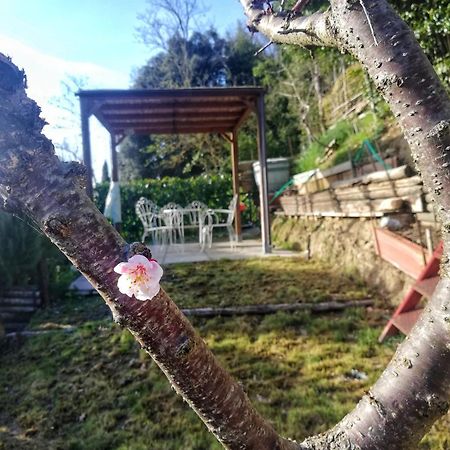 Casa Laura Apartman San Gimignano Kültér fotó